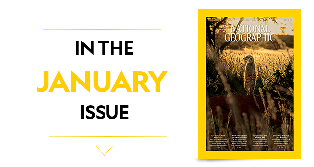 In The December Issue