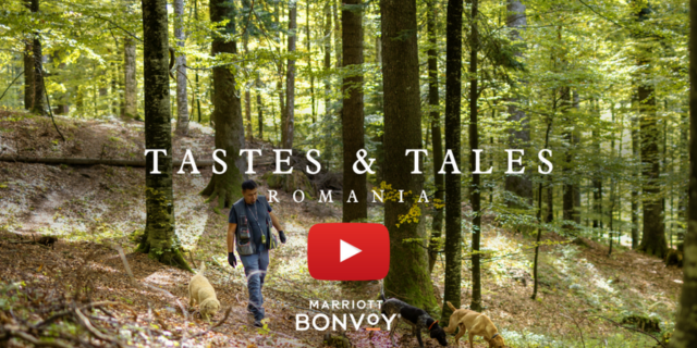 Taste & Tales Video