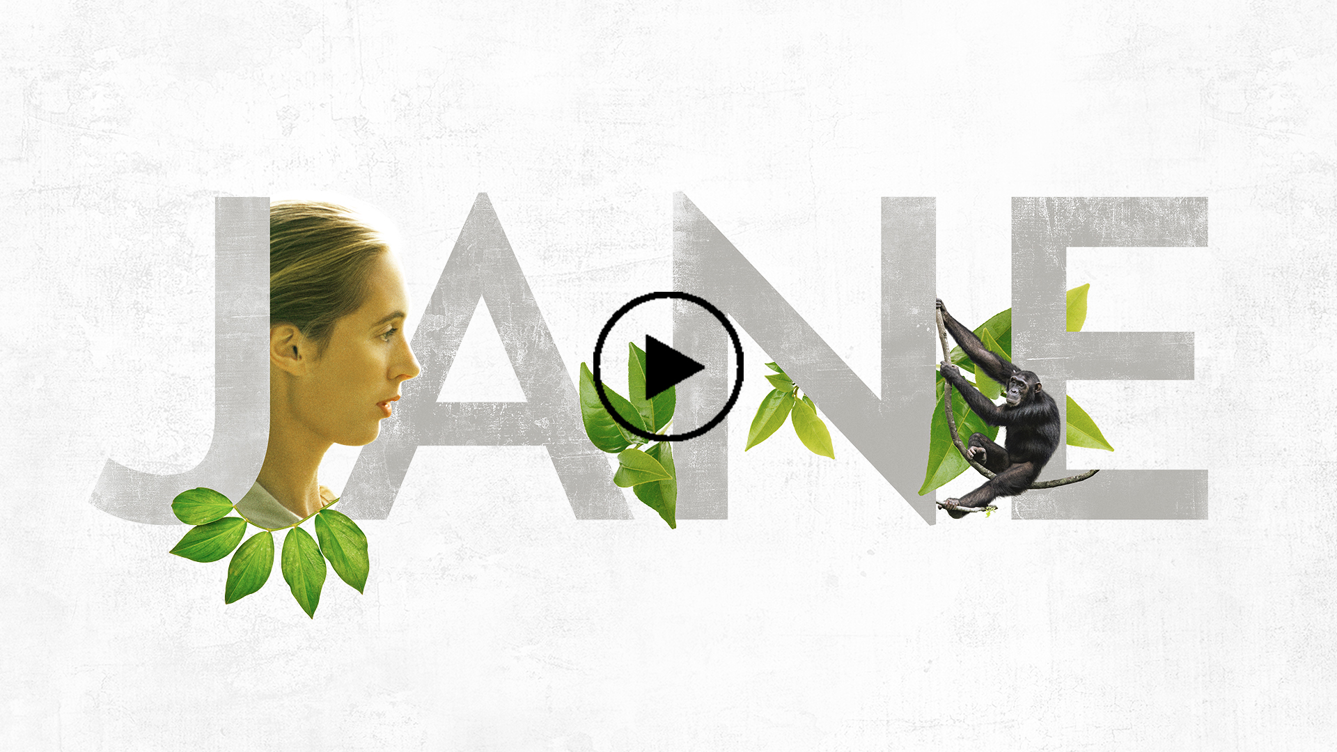 Promo image for documentary Jane