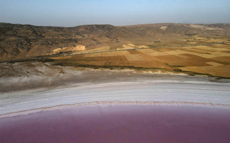 This aerial photo shows a view of Tuz Golu, a vibrant pink salt lake in Turkey. It once had a thriving flamingo population, but when the lake dried up, its bed was littered with dead birds.