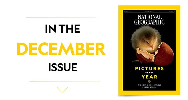 In The December Issue