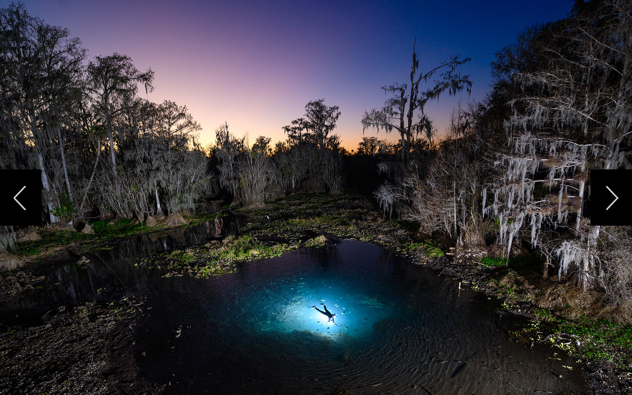 A snorkeler explores the fish-filled depths of Tobacco Patch Spring in Florida.