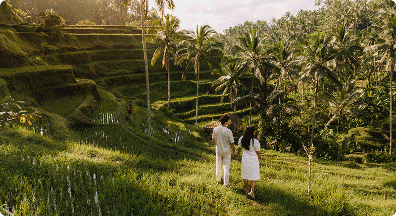 Waterfalls, swings, and lush rice fields are waiting to be explored.