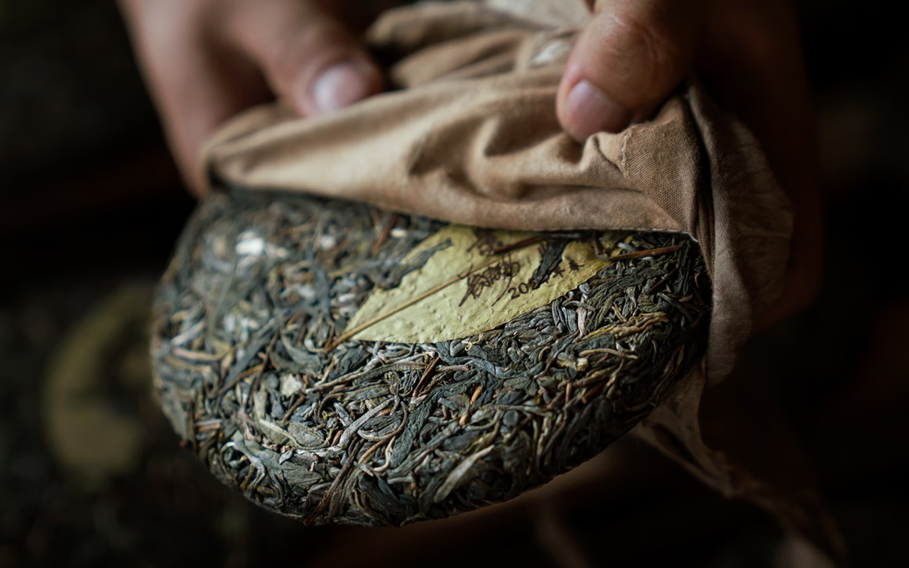 Two Dai tea growers pluck leaves in Da Ping Zhang, one of five tea forests on Jingmai Mountain in Yunnan Province.