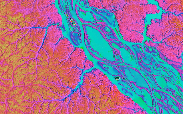 LiDAR satellite image showing the Rio Negro, one of the largest tributary rivers of the Amazon. 