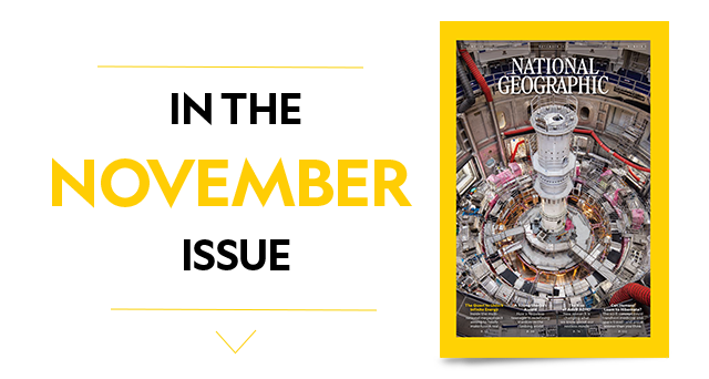 In The Novemeber Issue