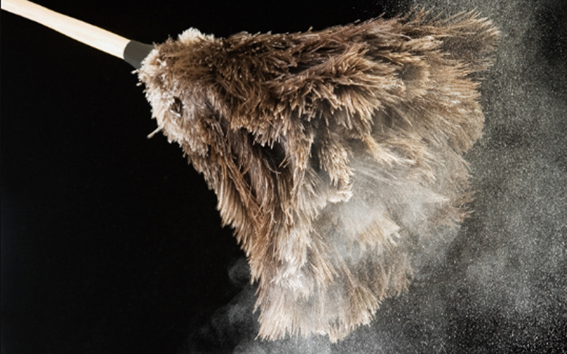 Dust coming out of a feather duster.