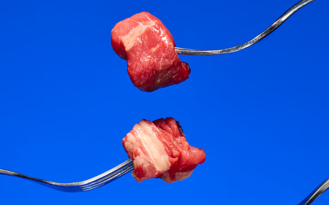 Small bites of raw meat on forks 
