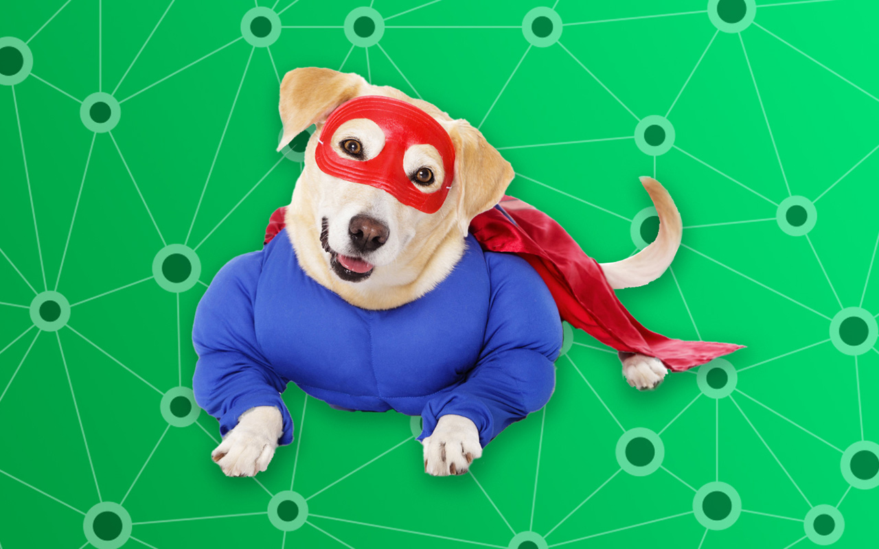 golden retriever dog dressed like a super hero