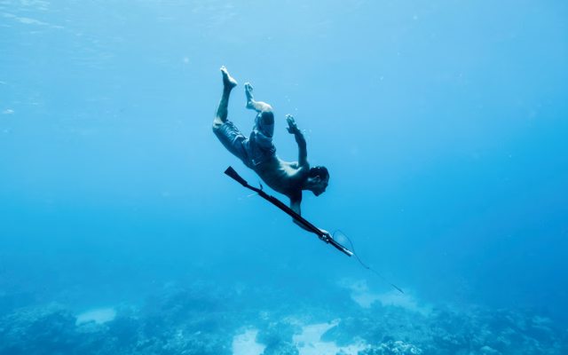 Fisherman Dafrin Ambotang free dives in the Togian Islands, Indonesia.