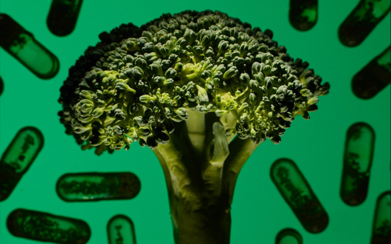 A piece of broccoli over a green background of pills. 