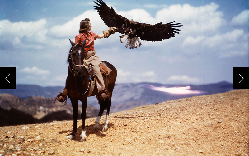 A woman on horseback calls out to a bald eagle.