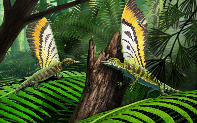 An illustration of Mirasaura in its natural forested environment