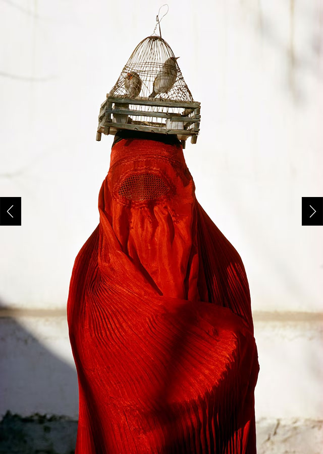 Denied face and form by age-old custom, a woman of Kabul secludes herself in a sleeveless silk chadri; a pair of Old World goldfinches rides home from market on her head.
