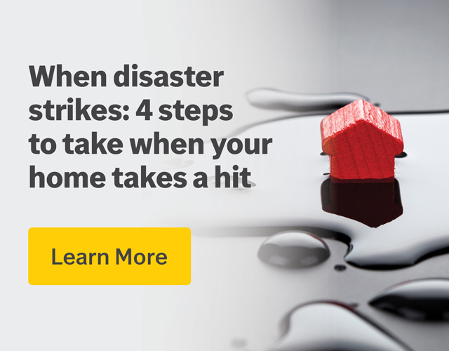 Illustration with the headline When disaster strikes: 4 steps to take when your home takes a hit. Opens a new browser tab with tips for navigating property damage after a disaster.
