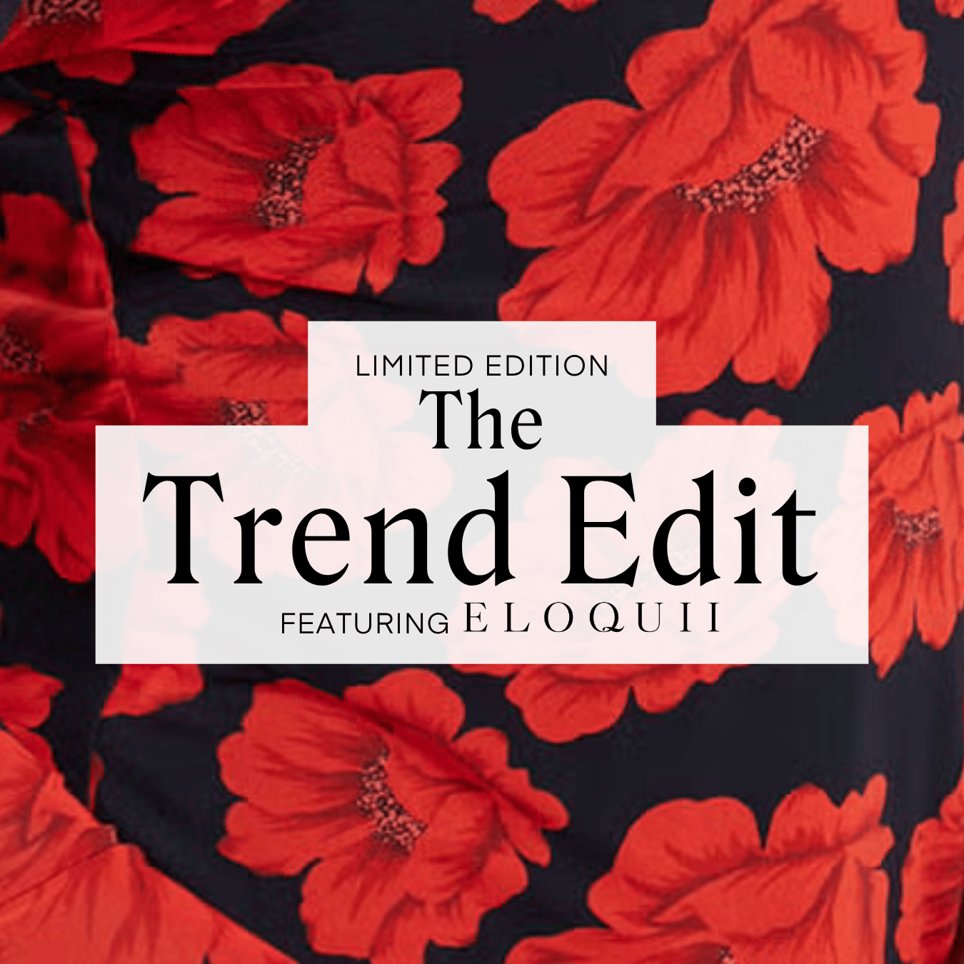 The Trend Edit Box