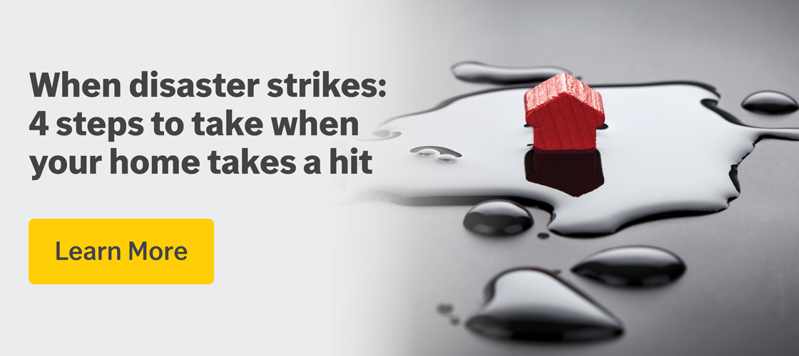 Illustration with the headline When disaster strikes: 4 steps to take when your home takes a hit. Opens a new browser tab with tips for navigating property damage after a disaster.