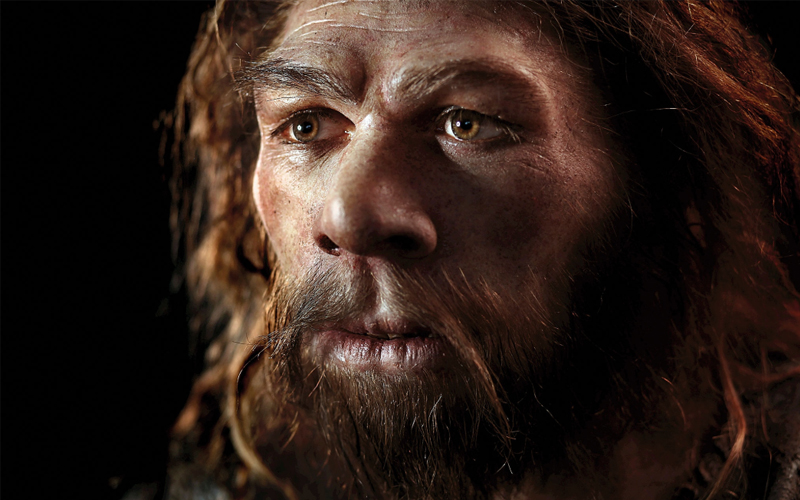 This reconstruction of a Neanderthal man’s features is based on the fossils found at the French site of La Chapelle-aux-Saints. The man has brown eyes, thick and busy eyebrows, a protruding nose and a brown beard. Paleoartist Elisabeth Daynès created the sculpture.