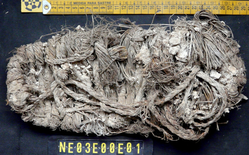  A shoe found in a vulture’s nest