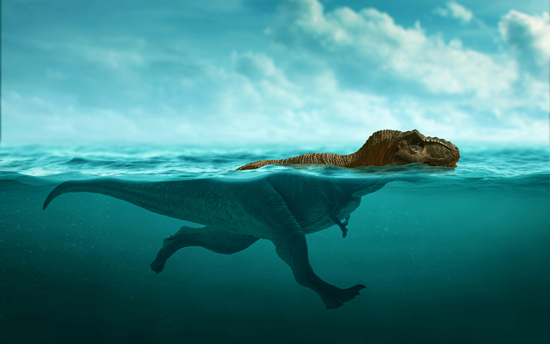 An illustration of a Tyrannosaurus swimming, seen in profile view