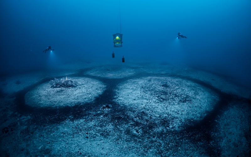 Rings on the bottom of the seafloor