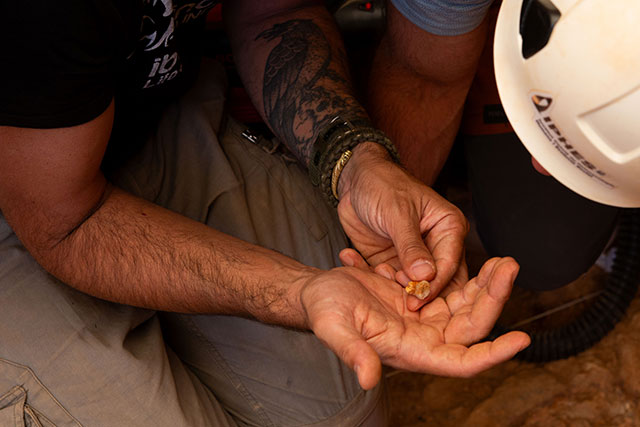 Homo antecessor teeth found at the Gran Dolina site, Atapuerca. 