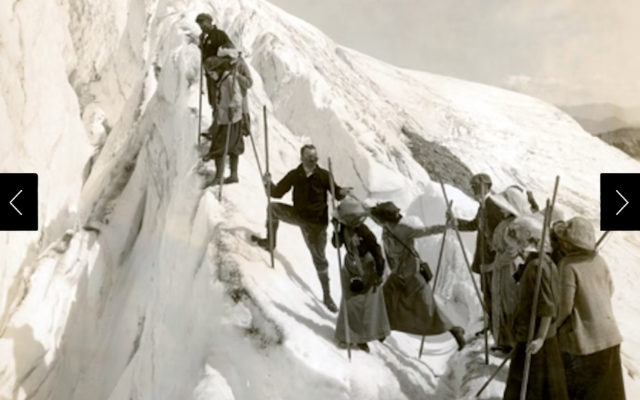 A group hiking in Mount Rainier National Park 