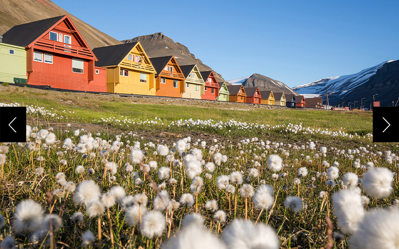 Longyearbyen, Svalbard, Norway: Stroll through charming towns, spot wildlife on the sea, and sip on craft beer on the Longyearbyen waterfront.