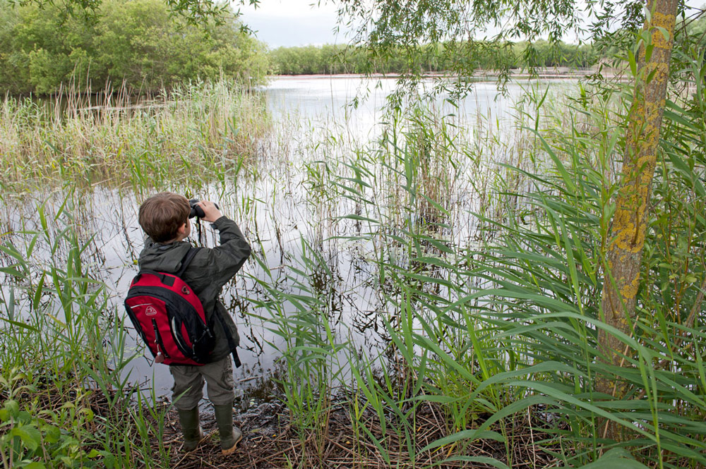 Boy looking down river