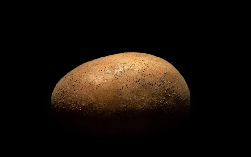 A cross-section of a potato and tomato. 