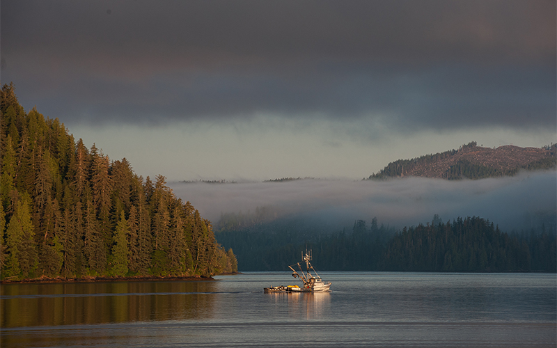Dawn breaks near the Waterfall Resort on Alaska’s Prince of Wales Island. The resort is known for the number of king and silver salmon, halibut, lingcod, and other sport fish reeled in by guests here.
